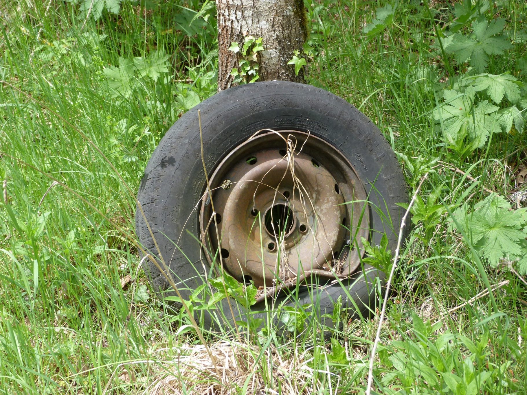 Zurück zur Natur 4